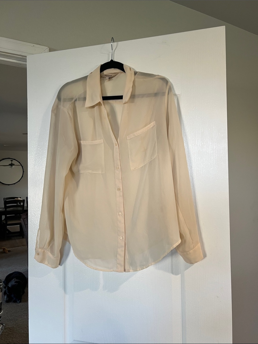 Women's Sheer Cream Button-Down Blouse - Classic Collar